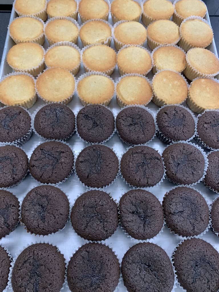 Rows of plain vanilla cupcakes in white paper liners are arranged above rows of chocolate cupcakes in the same liners on a baking tray. Both types appear freshly baked and undecorated.